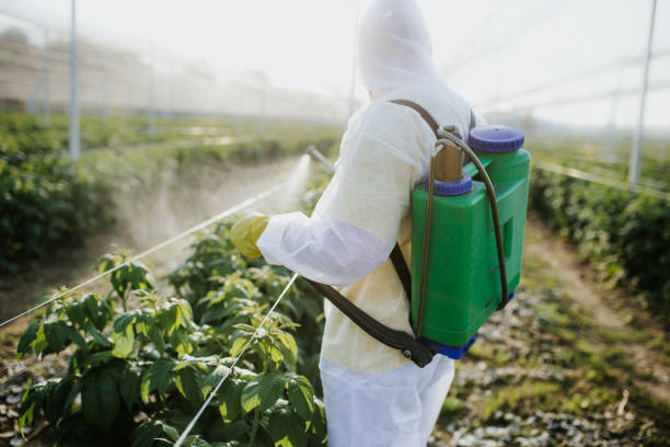 Wildlife Control Services in Trabuco Canyon, CA